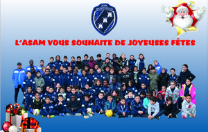 L'ASAM vous souhaite de joyeuses fêtes !